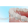 Cecotec TOOTH CARE 1200 - 1376806 - zdjęcie 8